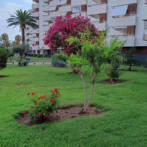Apartamento F&P primera línea de mar.